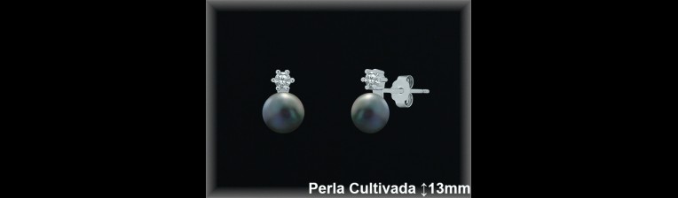 Pendientes Plata al por mayor ref R8489G Mayoristas Plata al por Mayor