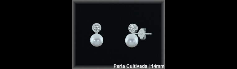 Pendientes Plata al por mayor ref R8479 Mayoristas Plata al por Mayor