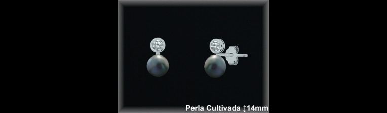 Pendientes Plata al por mayor ref R8479G Mayoristas Plata al por Mayor