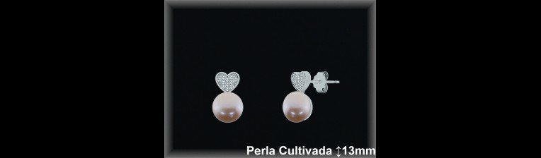 Pendientes Plata al por mayor ref R8622C Mayoristas Plata al por Mayor