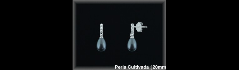 Pendientes Plata al por mayor ref R8544G Mayoristas Plata al por Mayor