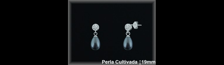 Pendientes Plata al por mayor ref R8505G Mayoristas Plata al por Mayor