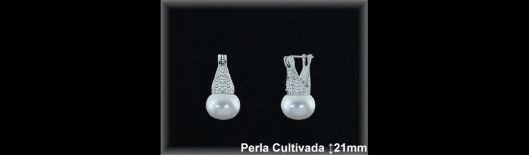 Pendientes Plata al por mayor ref R8570 Mayoristas Plata al por Mayor