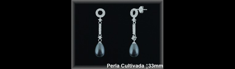 Pendientes Plata al por mayor ref R8470G Mayoristas Plata al por Mayor