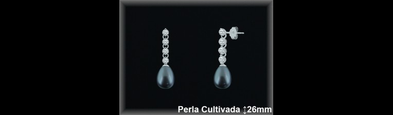 Pendientes Plata al por mayor ref R8475G Mayoristas Plata al por Mayor