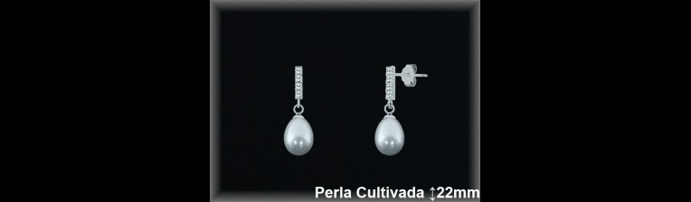 Pendientes Plata al por mayor ref R8476 Mayoristas Plata al por Mayor