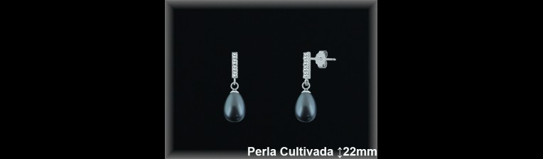 Pendientes Plata al por mayor ref R8476G Mayoristas Plata al por Mayor