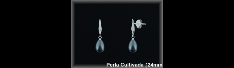 Pendientes Plata al por mayor ref R8478G Mayoristas Plata al por Mayor