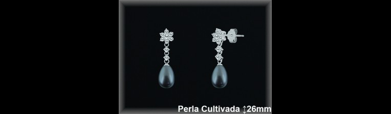 Pendientes Plata al por mayor ref R8481G Mayoristas Plata al por Mayor