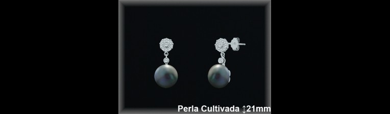 Pendientes Plata al por mayor ref R8485G Mayoristas Plata al por Mayor