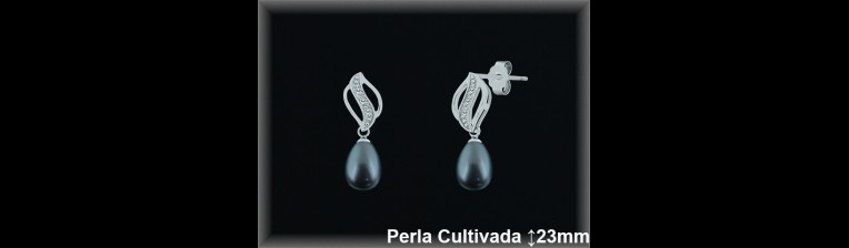 Pendientes Plata al por mayor ref R8486G Mayoristas Plata al por Mayor