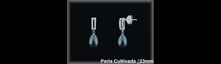 Pendientes Plata al por mayor ref R8494G Mayoristas Plata al por Mayor