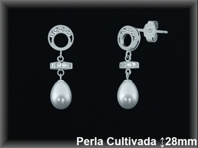 Pendientes Plata al por mayor ref R8495 Mayoristas Plata al por Mayor