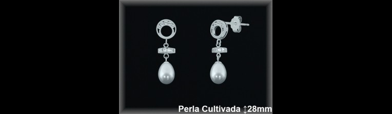 Pendientes Plata al por mayor ref R8495 Mayoristas Plata al por Mayor