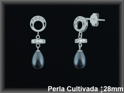 Pendientes Plata al por mayor ref R8495G Mayoristas Plata al por Mayor