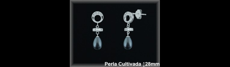 Pendientes Plata al por mayor ref R8495G Mayoristas Plata al por Mayor