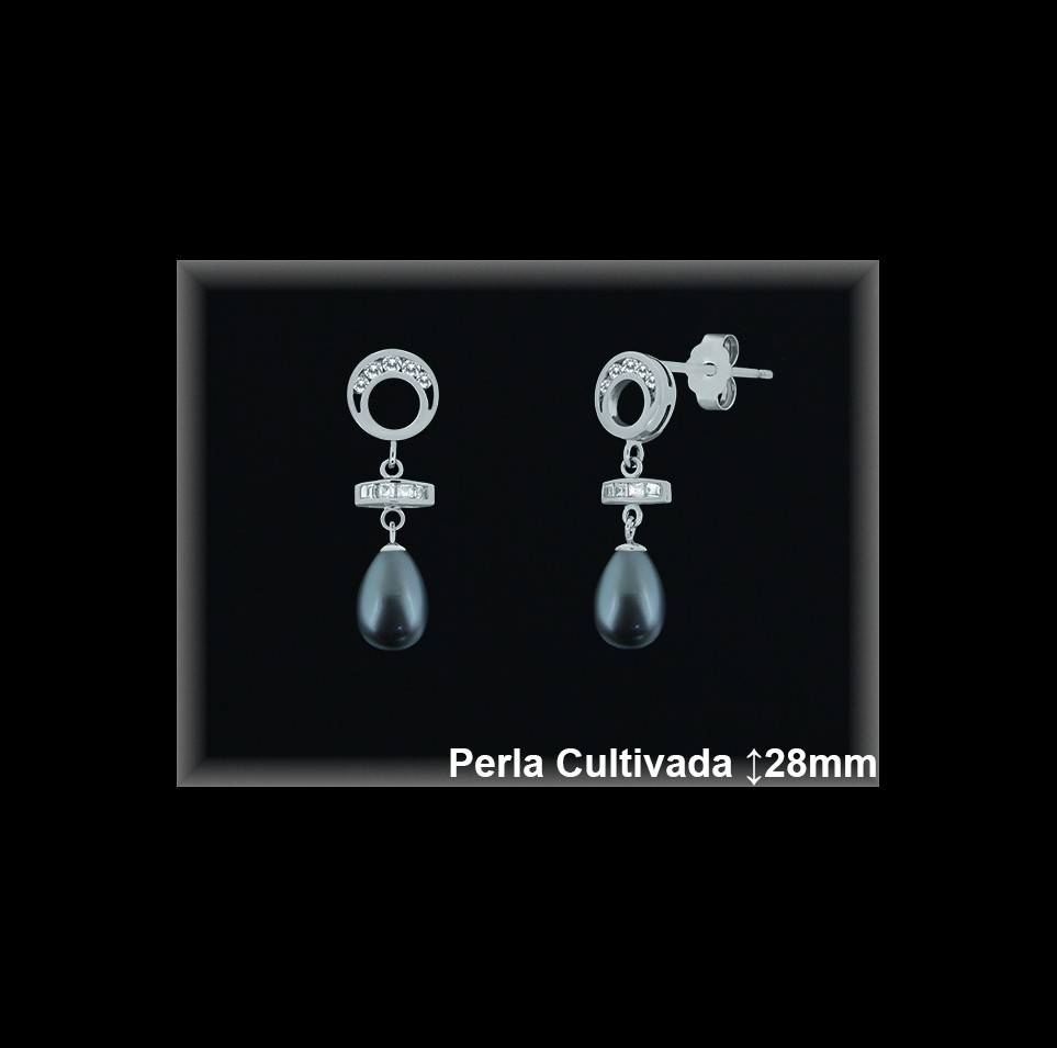 Pendientes Plata al por mayor ref R8495G Mayoristas Plata al por Mayor