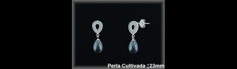 Pendientes Plata al por mayor ref R8548G Mayoristas Plata al por Mayor