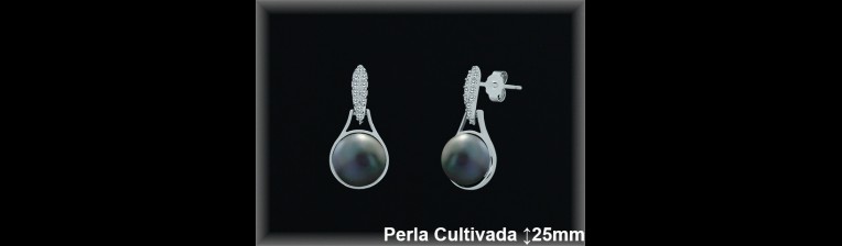 Pendientes Plata al por mayor ref R8561G Mayoristas Plata al por Mayor