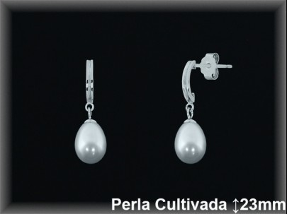 Pendientes Plata al por mayor ref R8566 Mayoristas Plata al por Mayor