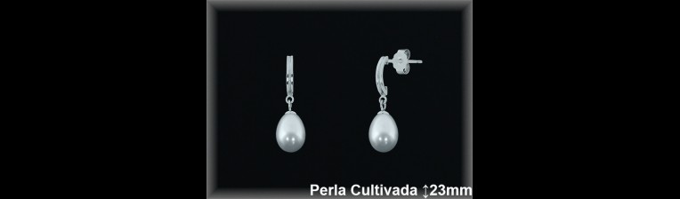 Pendientes Plata al por mayor ref R8566 Mayoristas Plata al por Mayor