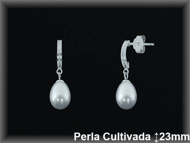 Pendientes Plata al por mayor ref R8566 Mayoristas Plata al por Mayor