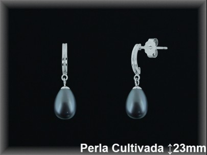 Pendientes Plata al por mayor ref R8566G Mayoristas Plata al por Mayor
