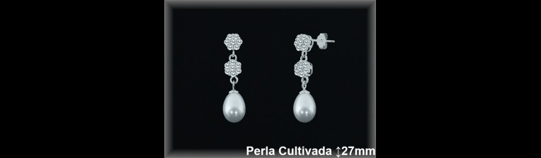 Pendientes Plata al por mayor ref R8576 Mayoristas Plata al por Mayor