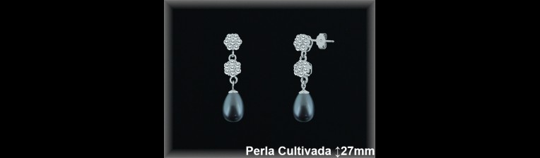 Pendientes Plata al por mayor ref R8576G Mayoristas Plata al por Mayor