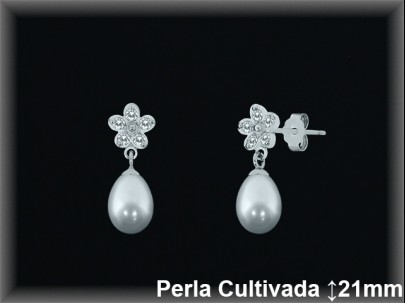 Pendientes Plata al por mayor ref R8577 Mayoristas Plata al por Mayor