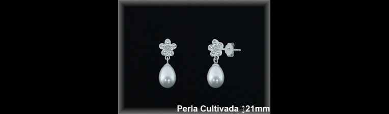 Pendientes Plata al por mayor ref R8577 Mayoristas Plata al por Mayor