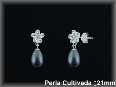 Pendientes Plata al por mayor ref R8577G Mayoristas Plata al por Mayor