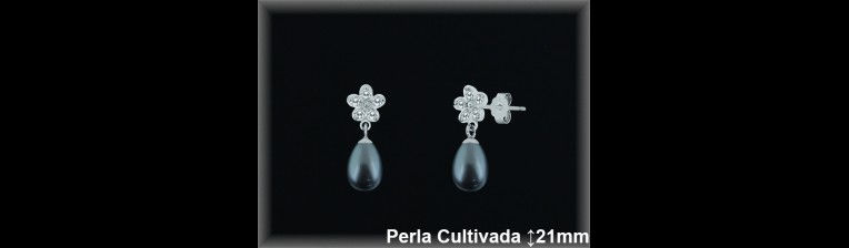 Pendientes Plata al por mayor ref R8577G Mayoristas Plata al por Mayor