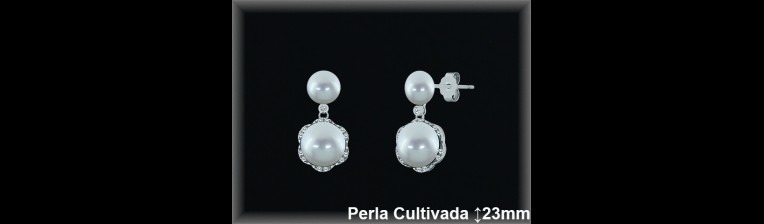 Pendientes Plata al por mayor ref R8617 Mayoristas Plata al por Mayor