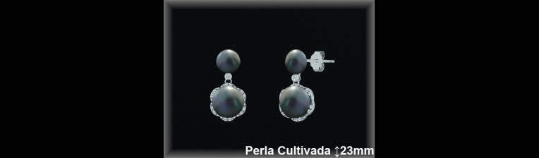 Pendientes Plata al por mayor ref R8617G Mayoristas Plata al por Mayor