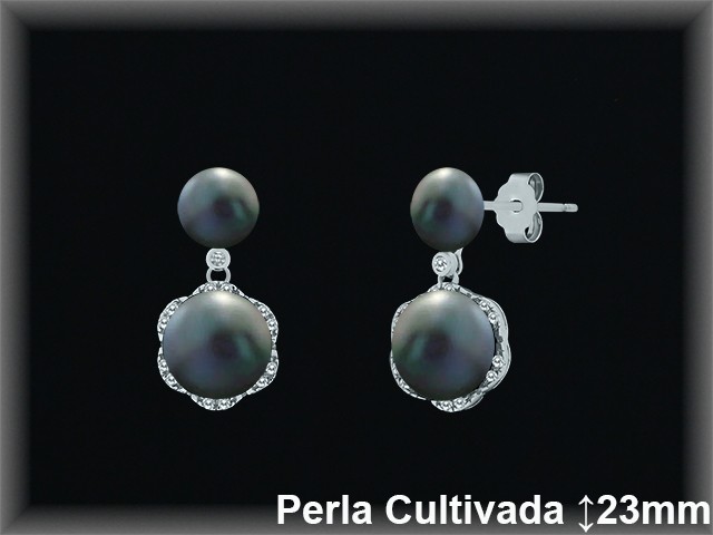 Pendientes Plata al por mayor ref R8617G Mayoristas Plata al por Mayor Pendientes Plata al por mayor ref R8617G Mayoristas Plata al por Mayor