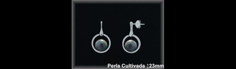 Pendientes Plata al por mayor ref R8624G Mayoristas Plata al por Mayor