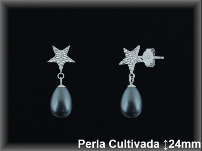 Pendientes Plata al por mayor ref R8632G Mayoristas Plata al por Mayor