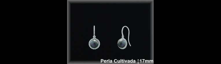 Pendientes Plata al por mayor ref R8649G Mayoristas Plata al por Mayor