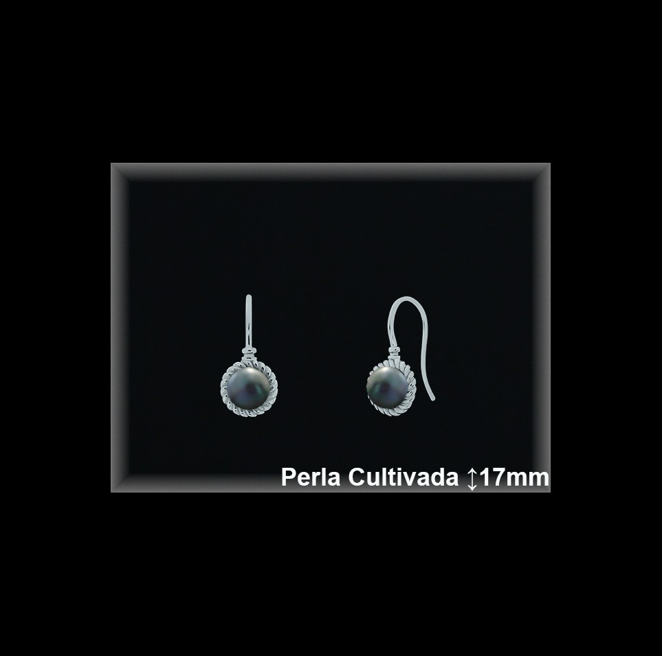 Pendientes Plata al por mayor ref R8649G Mayoristas Plata al por Mayor