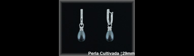 Pendientes Plata al por mayor ref R8507G Mayoristas Plata al por Mayor