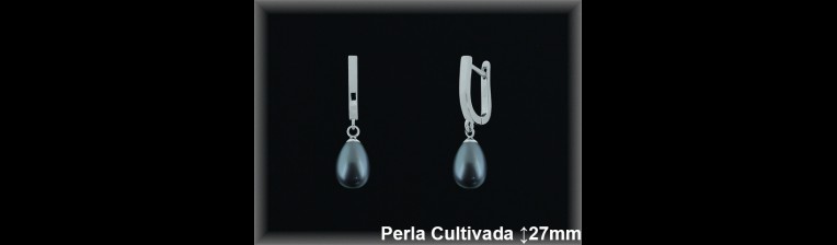 Pendientes Plata al por mayor ref R8631G Mayoristas Plata al por Mayor