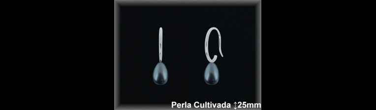 Pendientes Plata al por mayor ref R8636G Mayoristas Plata al por Mayor