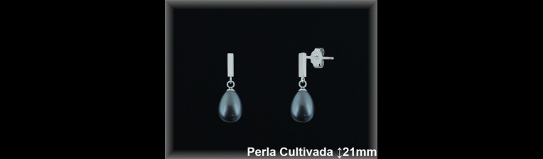 Pendientes Plata al por mayor ref R8537G Mayoristas Plata al por Mayor