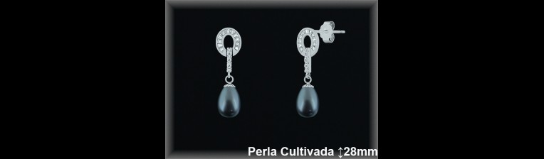 Pendientes Plata al por mayor ref R8514G Mayoristas Plata al por Mayor