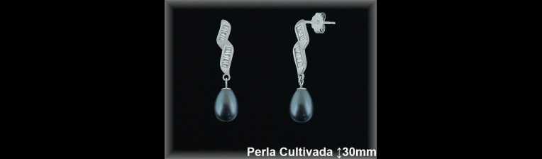 Pendientes Plata al por mayor ref R8630G Mayoristas Plata al por Mayor