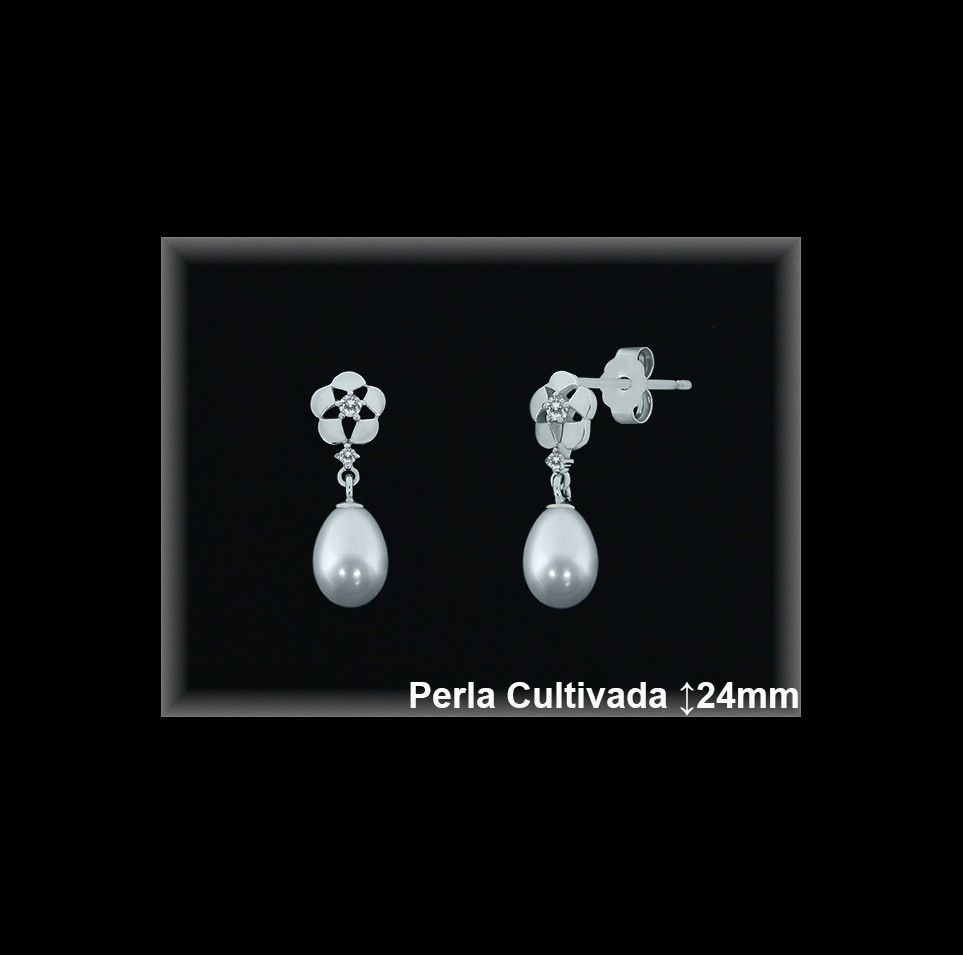 Pendientes Plata al por mayor ref R8616 Mayoristas Plata al por Mayor