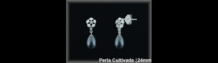 Pendientes Plata al por mayor ref R8616G Mayoristas Plata al por Mayor