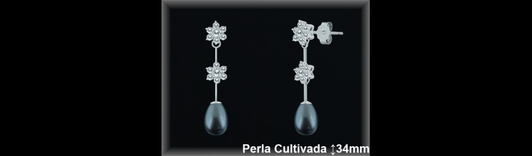 Pendientes Plata al por mayor ref R8538G Mayoristas Plata al por Mayor