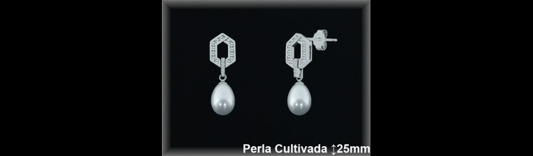 Pendientes Plata al por mayor ref R8496 Mayoristas Plata al por Mayor